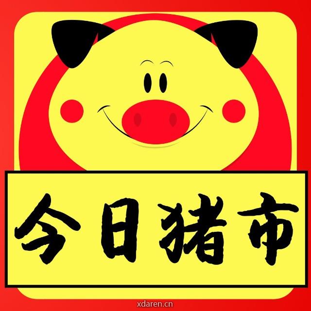 今日猪市行情