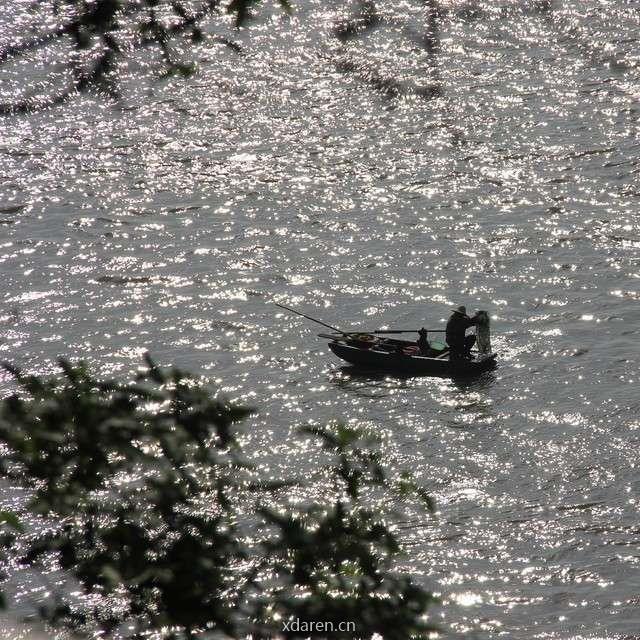 西门放歌