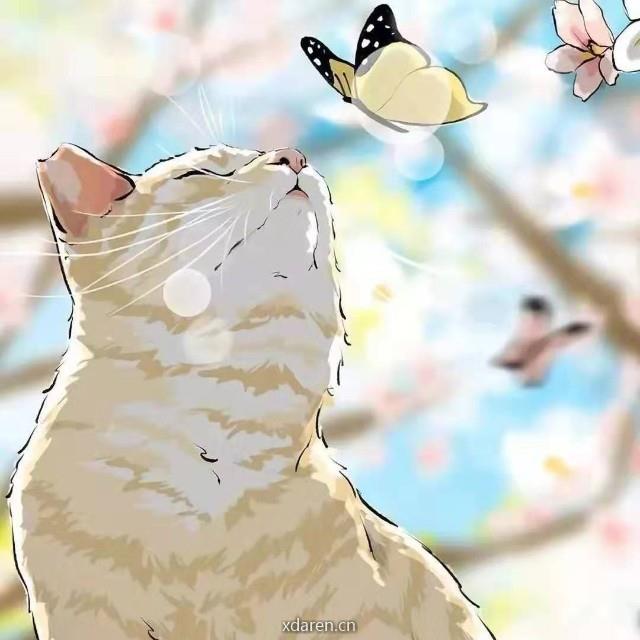 易冰玄的哲学锦囊