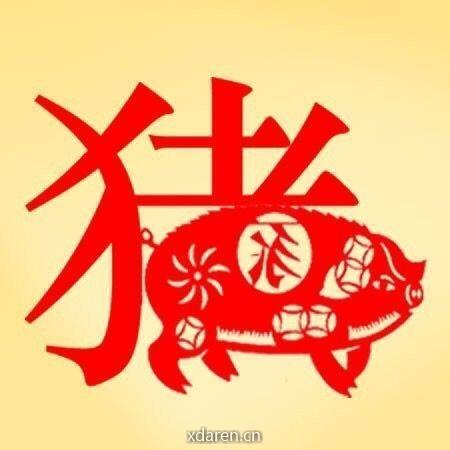生肖猪每日运势解析
