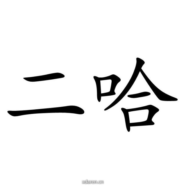 二哈记