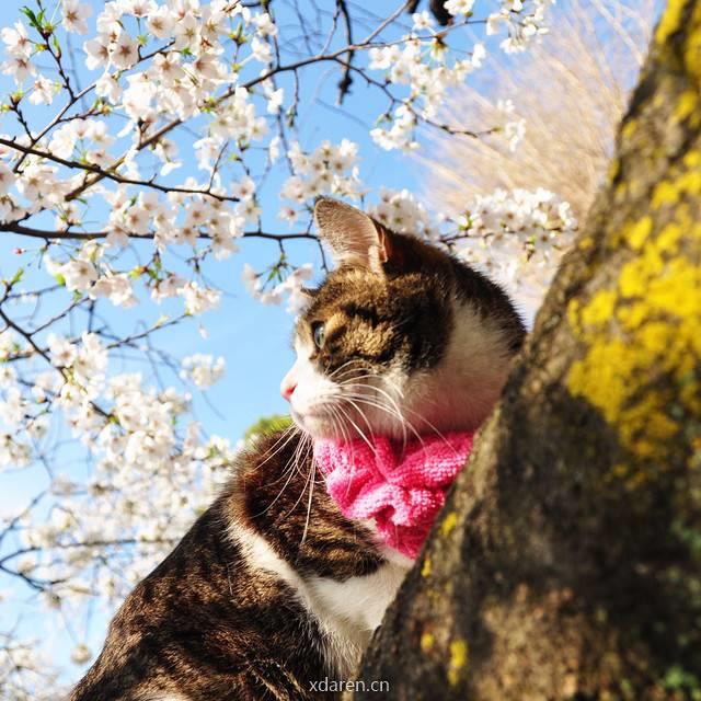 一边写诗一边旅行