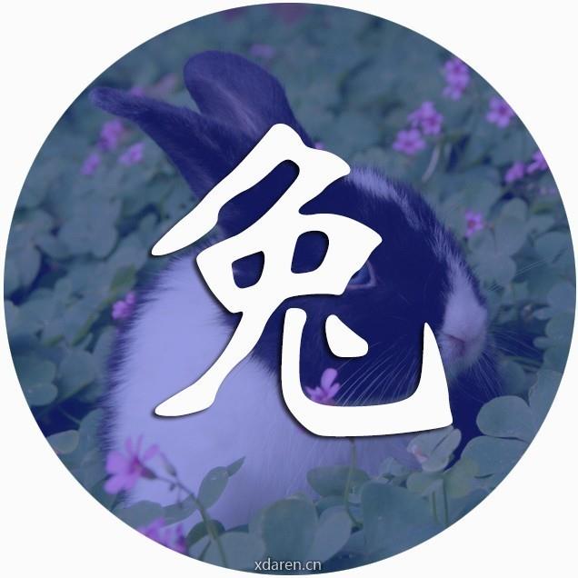 卯一兔