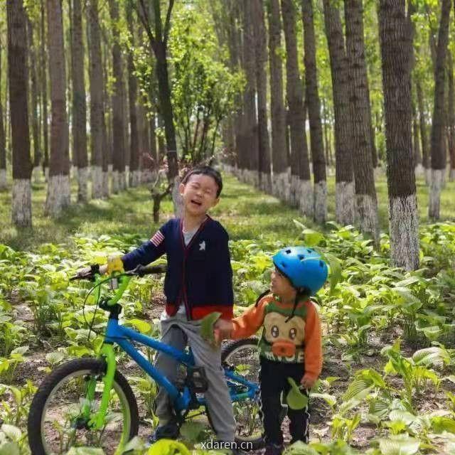 大淘小乖成长记