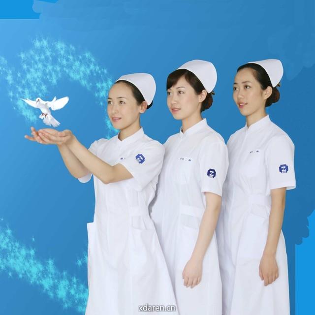 浙大二院护理之声