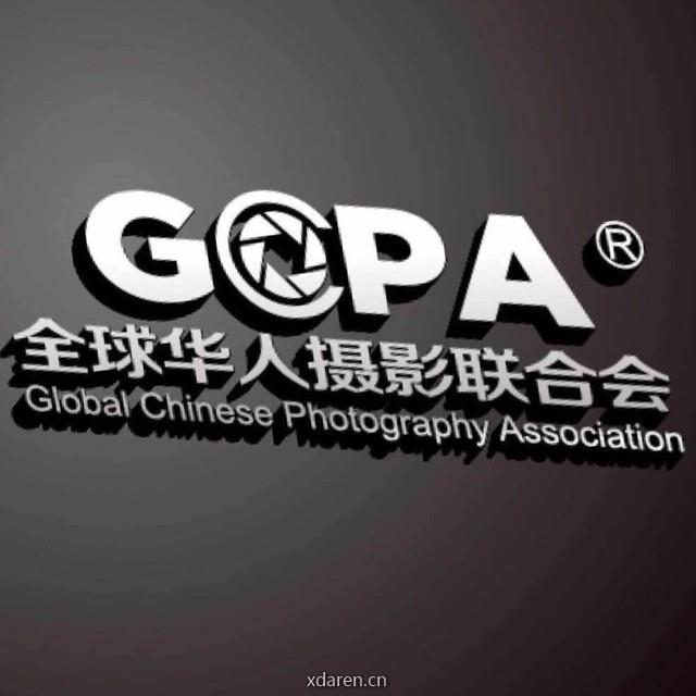 全球华摄