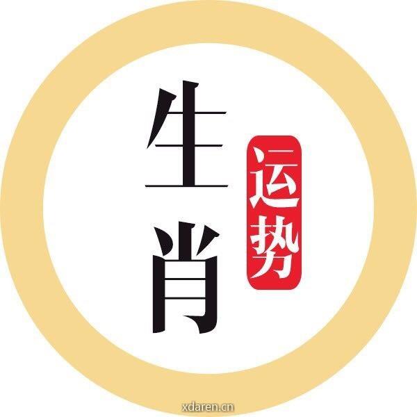 十二生肖运程大解析