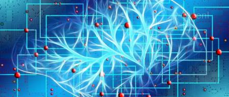 Nature子刊 | 基于内生复杂性,自动化所新类脑网络构筑人工智能与神经科科学的桥梁