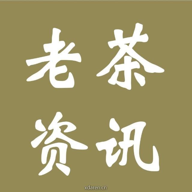 老茶资讯