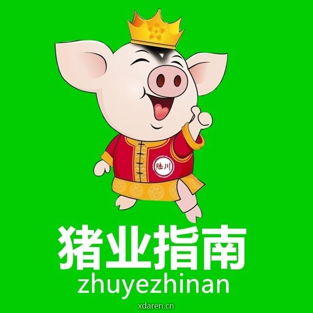 猪业指南
