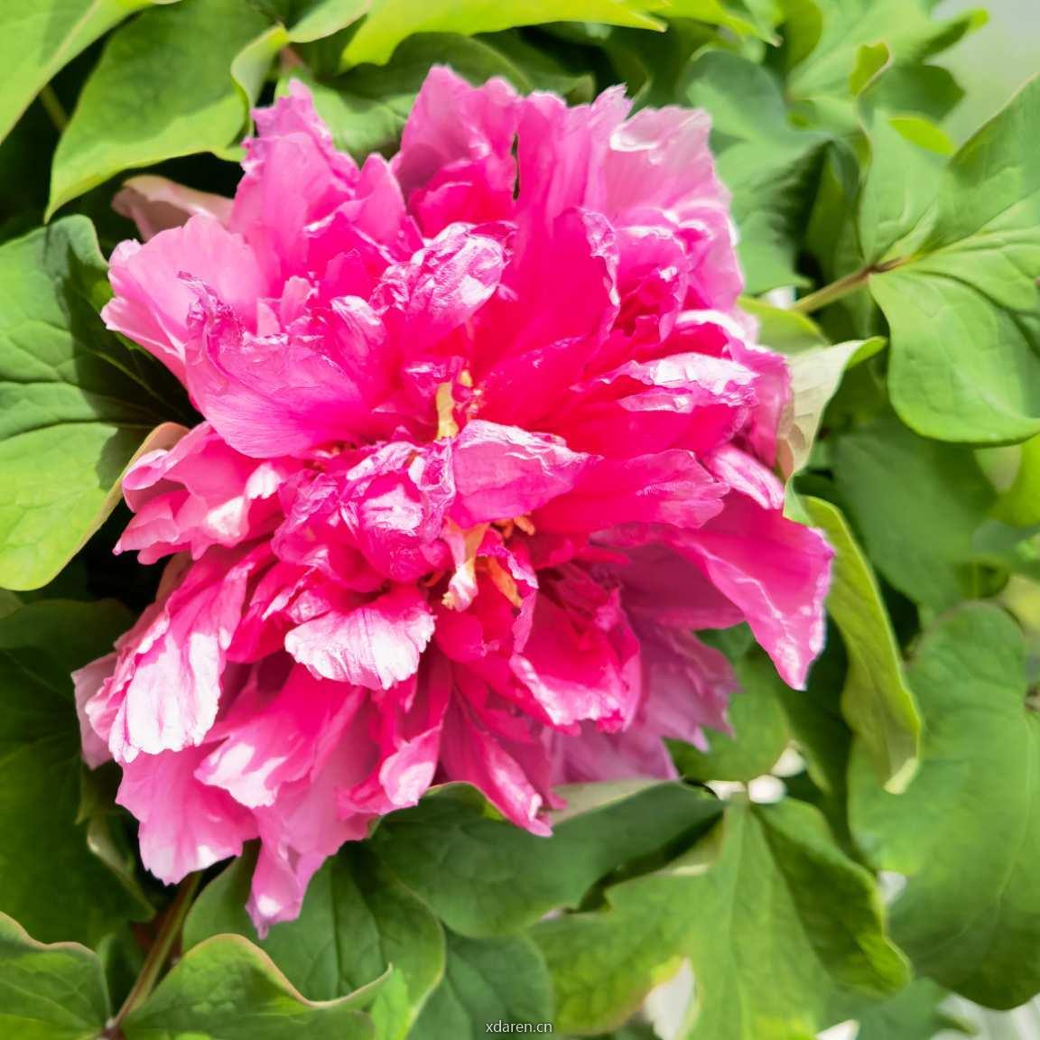 周教授的造价课