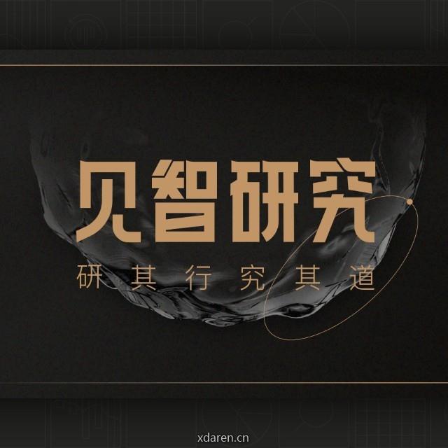 见智研究Pro