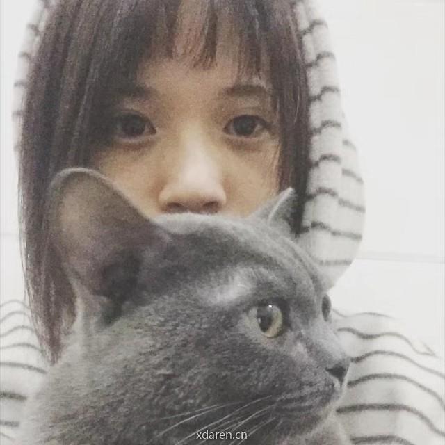 飞言飞语的Josie