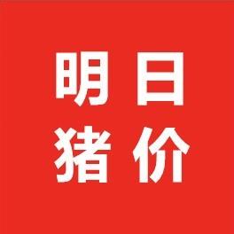 明日I猪价