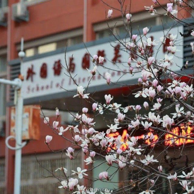 郑大英美文学研究