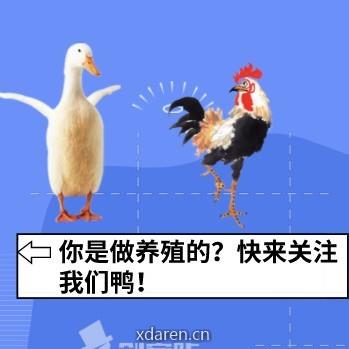 禽助手