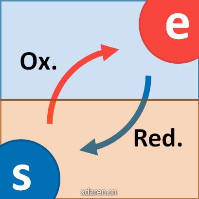 西浦陈正研究组