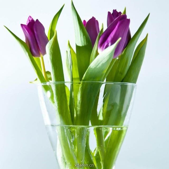 远山诗歌网络文化传媒