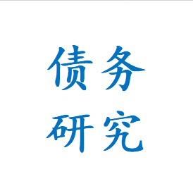 债务研究