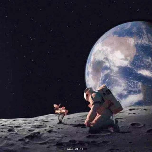 星球上的科学