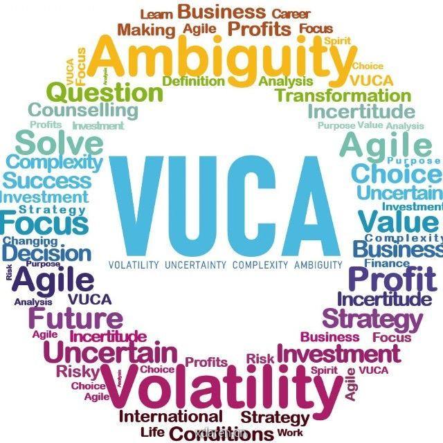 VUCA职业咨询