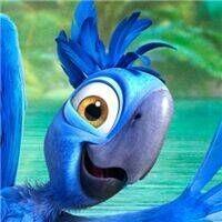 和老菜鸟一起学Excel