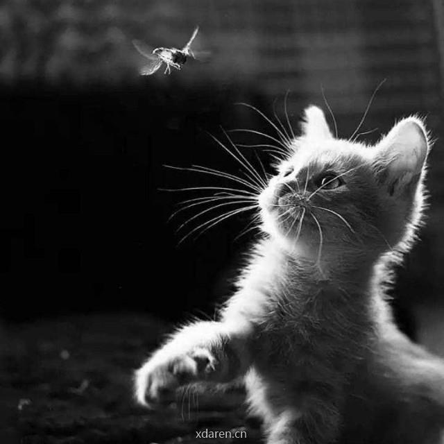 阿泽的学习笔记