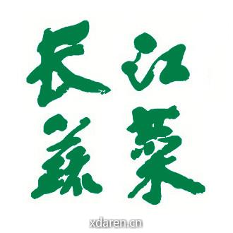 长江蔬菜