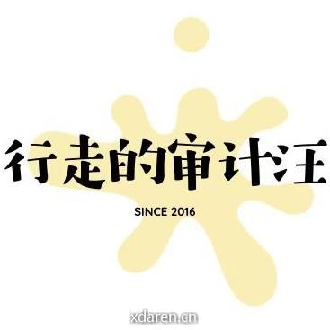 行走的审计汪