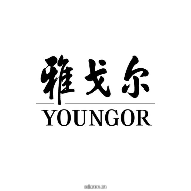 雅戈尔YOUNGOR