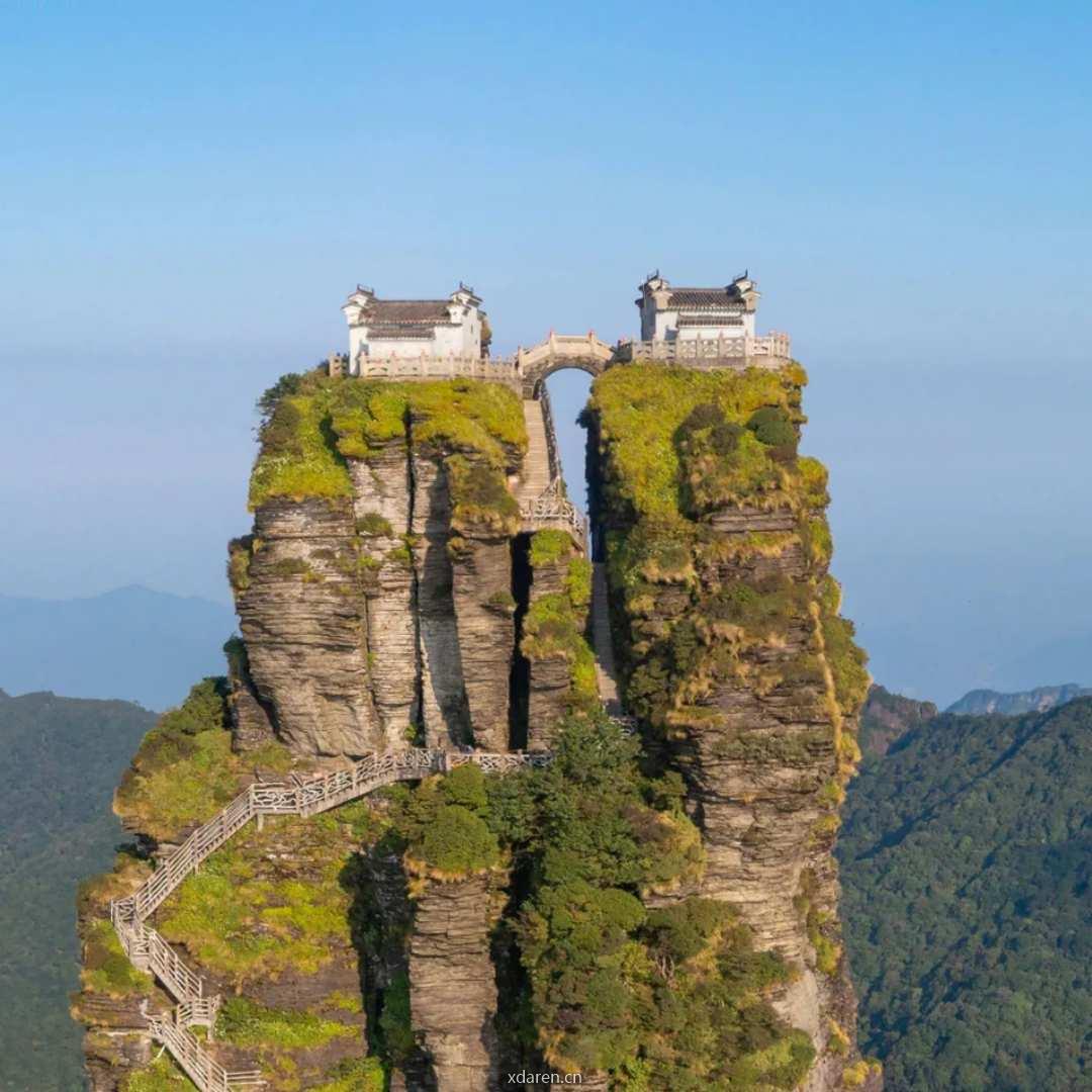 单哥的科研日常