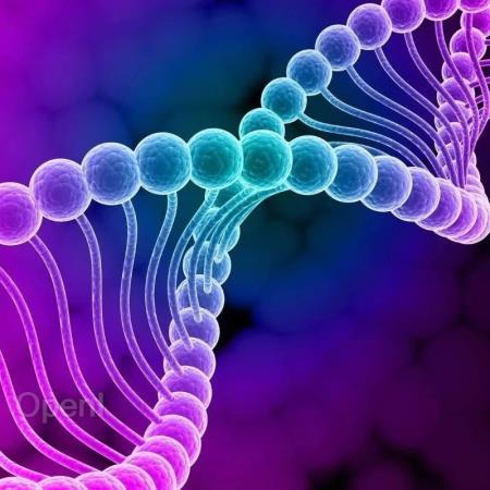 《Nature》新发现揭示了DNA修复途径的关键过程