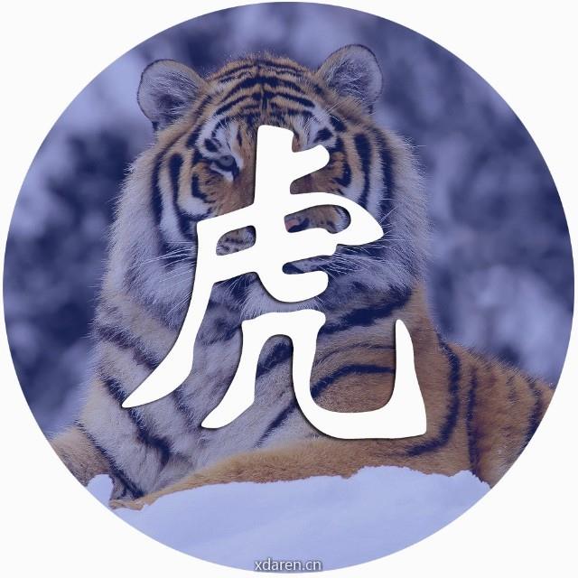 寅之虎