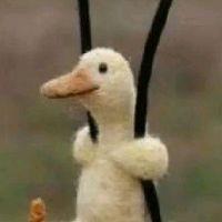 加大号的DK讲历史