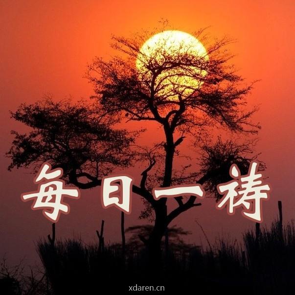 每日一祷