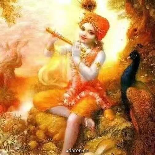 幻狮王官方账号