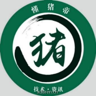 懂猪帝