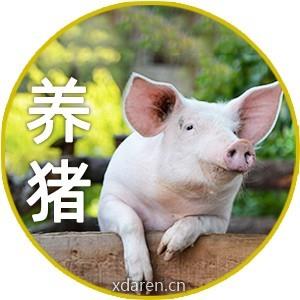 养猪大宝库