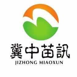 冀中苗讯