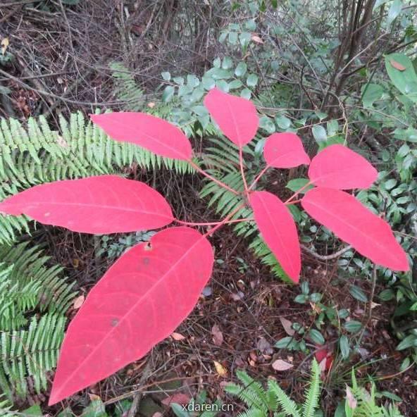 生物多样性与生态信息学
