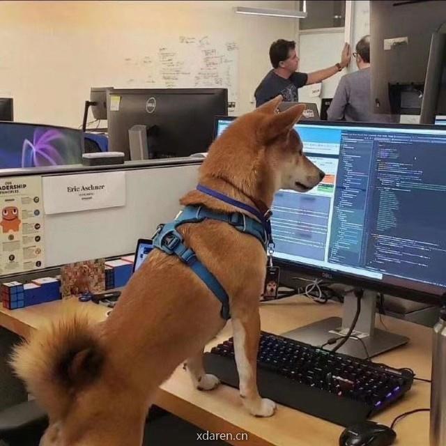 机器学习与数据挖掘前沿讲习