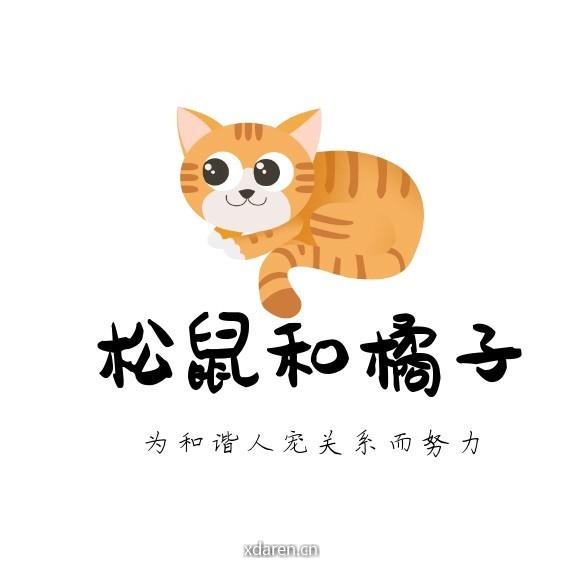 松鼠和橘子宠物行为