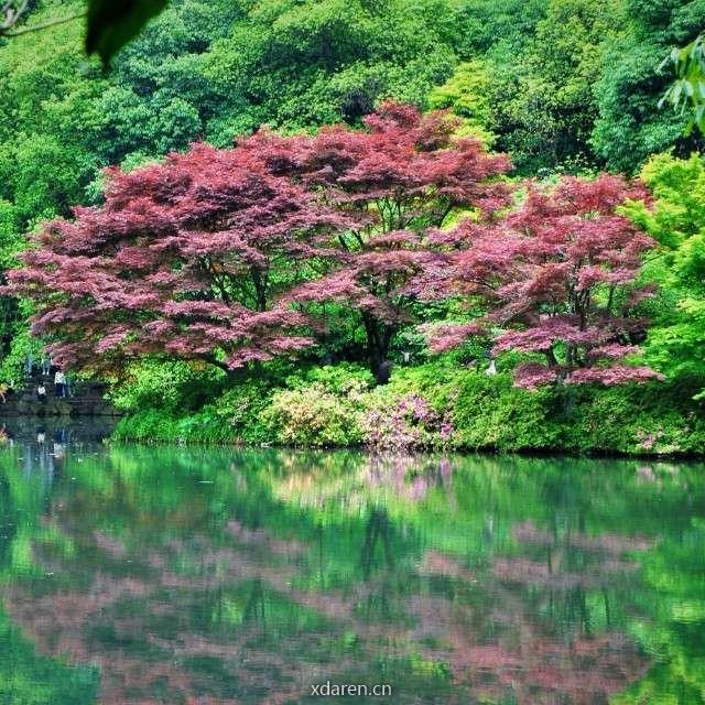 木子斋