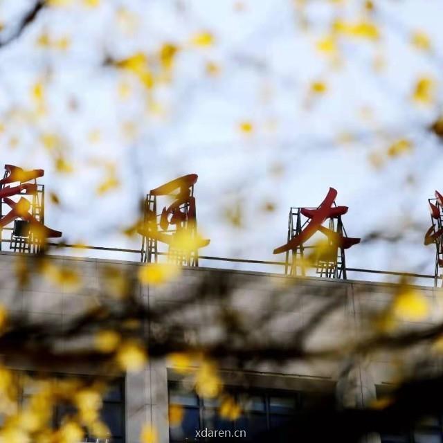 交大园林景观班