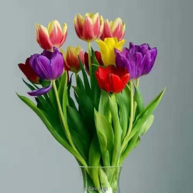 太极拳与读书会