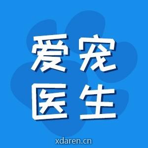 爱宠医生