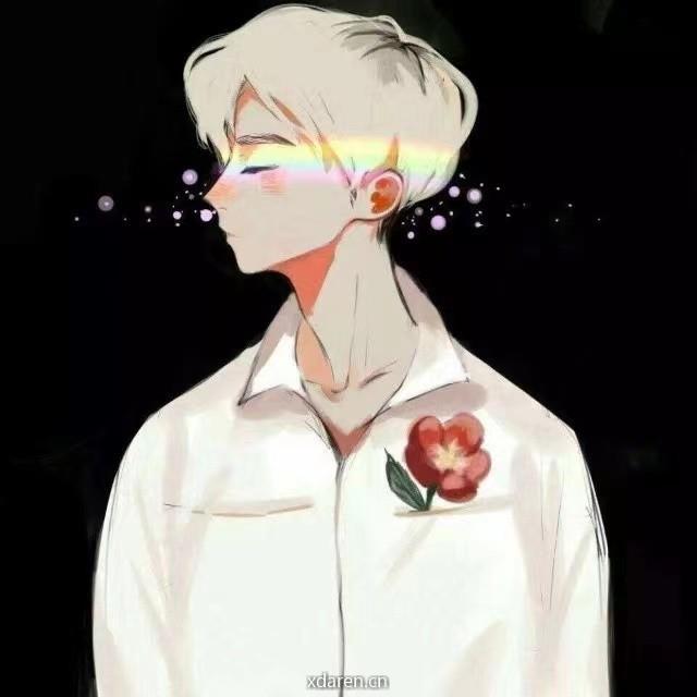 叶文稿看星星