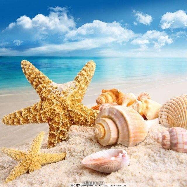 海角之欣