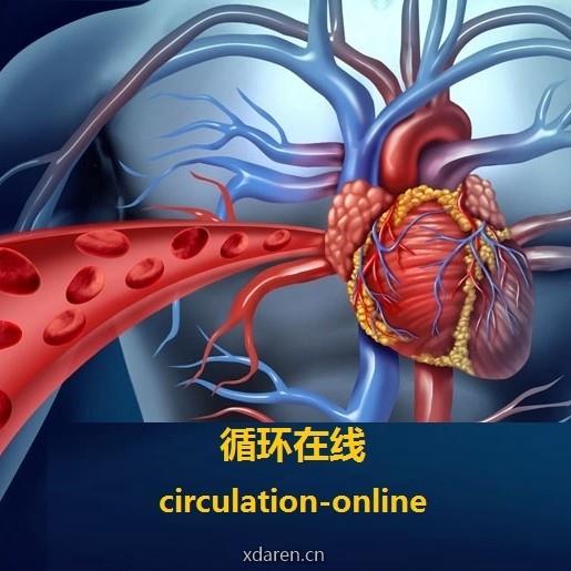 循环在线