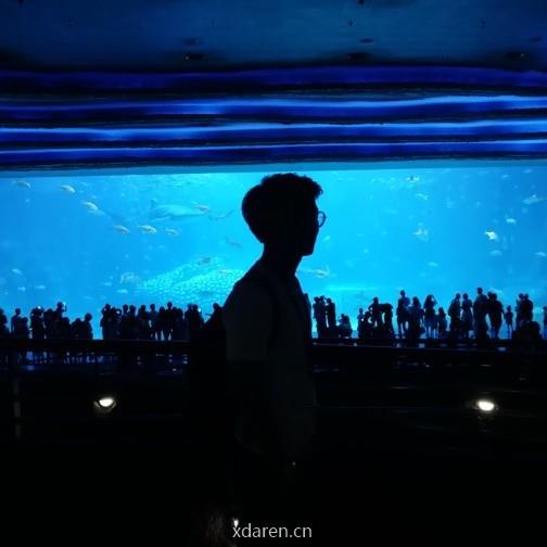 晓飞的算法工程笔记